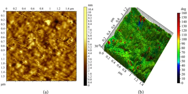 Figure 2. Nano-Chs Вм with stabilizer + UZD: Dimensions of nano-Chs-P: length—120 nm, width—7 nm