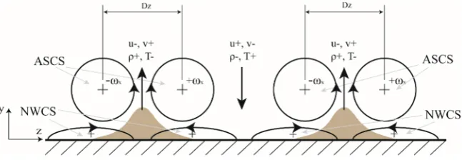 Figure 4. Schematic graph of the sub-structures of VVCS11 and their dynamics near the cold wall