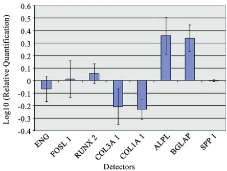 Figure 2. Gene expression analysis of PB-hMSCs after 7 days of treatment with PP 