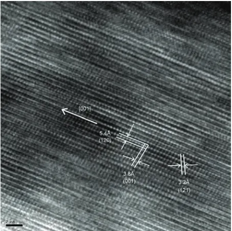 Figure 1. SEM images of the fabricated Sb2Se3 nanowire clusters 