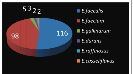 Figure 1: Distribution of various species of Enterococci isolated.
