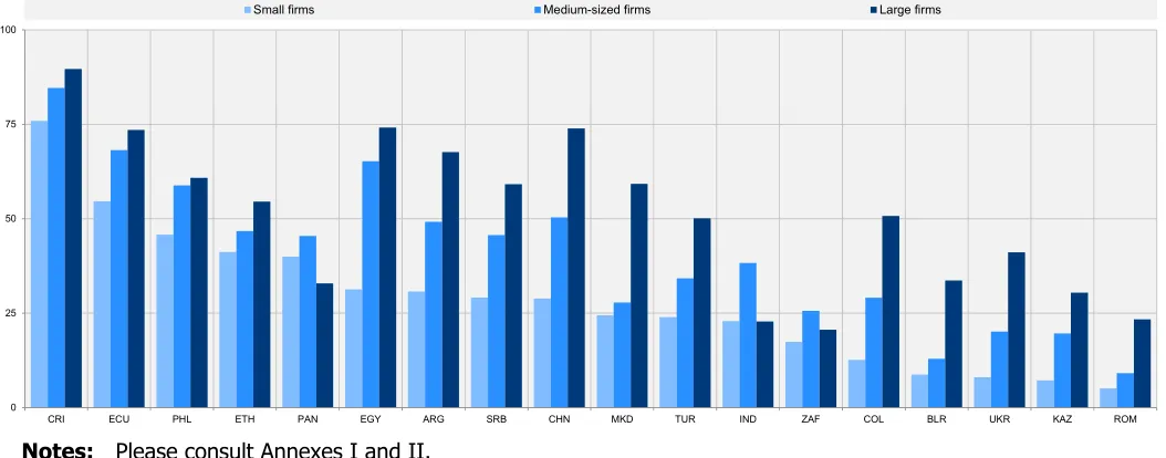 Figure 6. Product or process innovative firms in low- and middle-income countries by size class (as a percentage of manufacturing firms in each size class) 