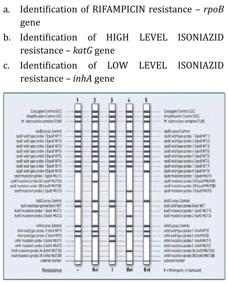 Figure 4: 27 reaction zones