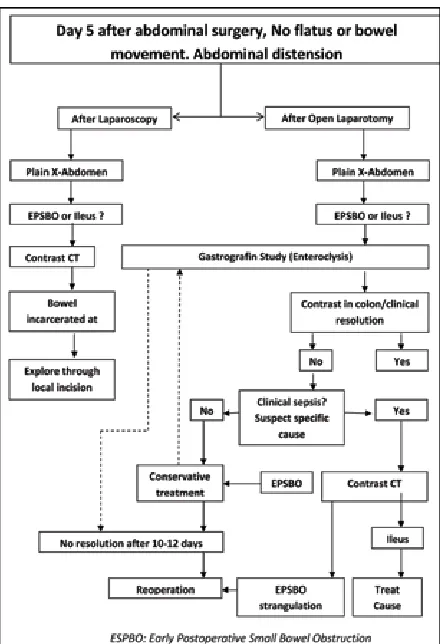 Figure 2: Algorithm for management of postoperative ileus
