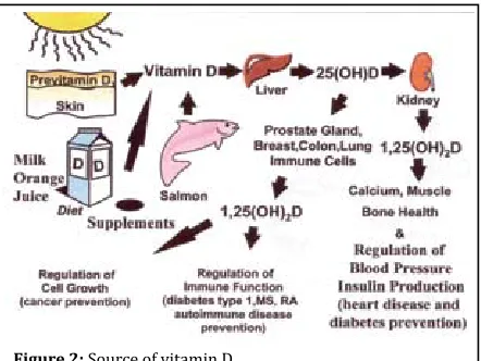 Figure 1: Vitamin D metabolism