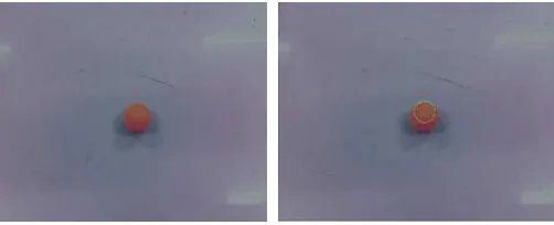Fig. 4 The peak figure of HSI in brighter condition   
