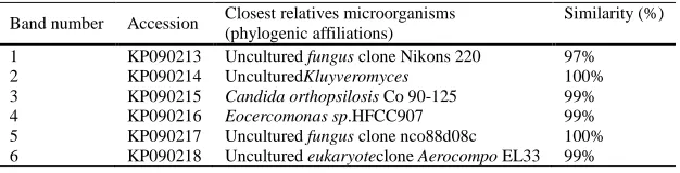 Table 3 Phylogenetic relationships of the extracted PCR-DGGE DNA sequences   