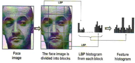 Fig.2 Examples of an LBP based facial representation 