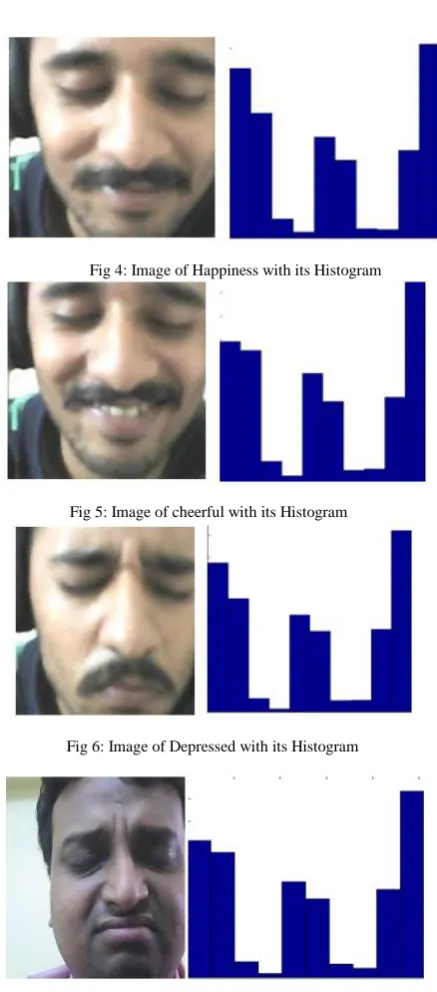 Fig 7: Image of Sad with its Histogram  