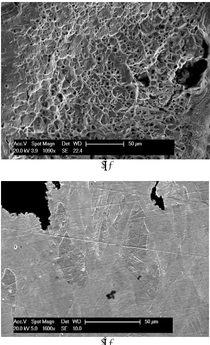 Figure 1. (a) SE-SEM image of the untested polished crystal arrangement for mounted specimen, and (b) schematic microstructural -brass and annealing twin pattern [3]