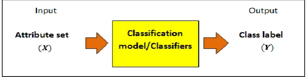 Figure 2.1: The input-output mapping of a classifier 