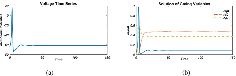 FIGURE 2. Responses of membrane potential (left) and gated variable (right) without an external current (I=0 