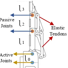 Fig. 2.  Active and Passive Joint for 3-Finger Adaptive Robot Gripper 