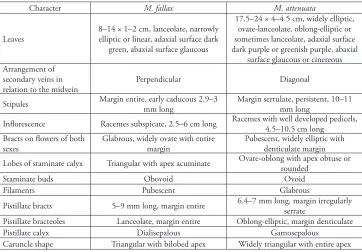 Table 1. Morphological characters useful in separating M. fallax from M. attenuata.