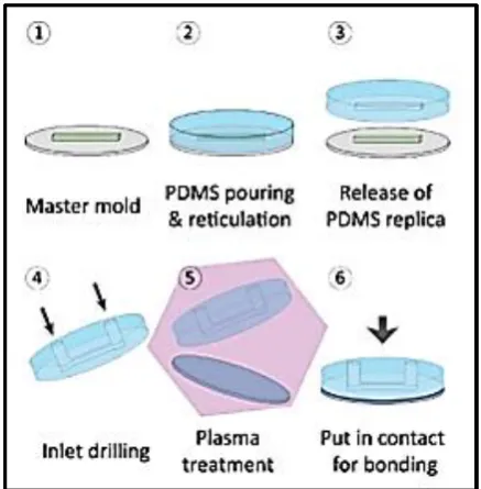 Figure 2.3: Photolithography process 