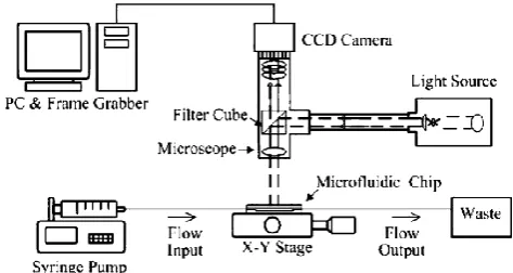 Figure 2.11: Schematic design of digital microfluidic biochip [11] 