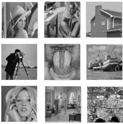 Figure 1). All the images are obtained from University of Southern California, Signal and Image Processing Institute (USC-SIPI) image database