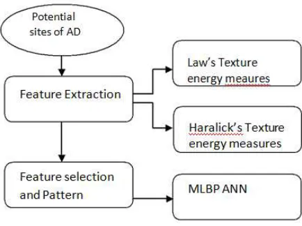 Figure 2: Obtaining Fine-tuned ROIs  