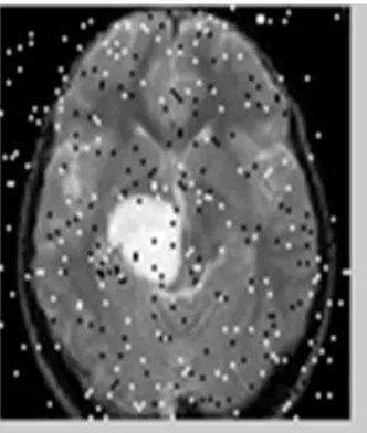 Fig 3. Image in which noise is added and given as an input to the pre-processing level   