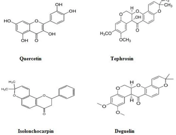 Figure 2: Chemical structure of important phytoconstituents present in Tephrosia purpurea