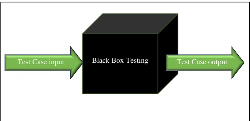 Figure 2.1: Black Box Testing   