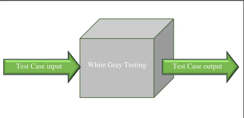 Figure 2.3: Gray Box Testing  