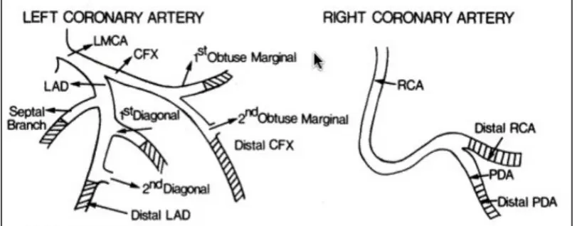 Figure 3 and 2