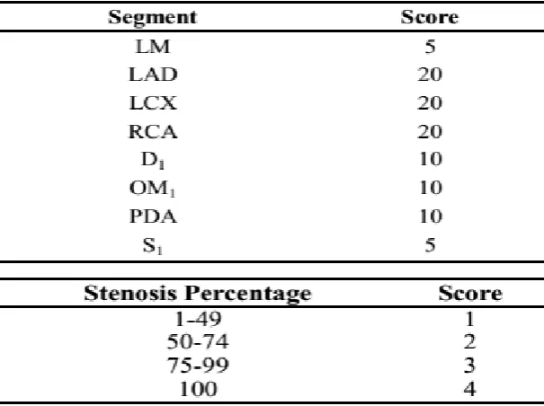 Table 2: Modified Gensini risk score [14].     