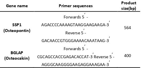 Table 1 Primer sequences used for RT-PCR 