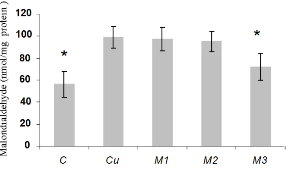 Figure 3. The effects of ME on lag time of CuSO4-induced LDL oxidation. C: n-LDL; Cu: n-LDL+copper; M1: n-LDL +copper +ME  (0.2 μg/mL); M2: n-LDL+ copper+ME (2 μg/mL); M3: n-LDL+ copper+ME (20 μg/mL) Each point represents the mean of five experiments