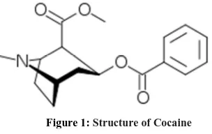 Figure 1: Structure of Cocaine  