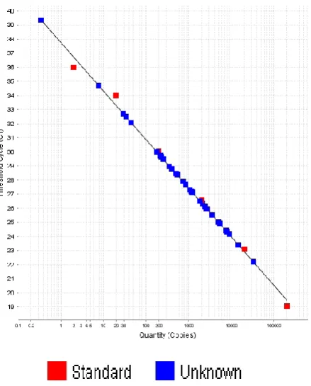 Fig (4): Amplification Plot (Intensity of flourescence vs. Cycle) for the internal extraction control.Intensity of flourescence amplification curve and the threshold line is the Cis plotted against PCR cycle number where the intersection between an  (threshold cycle) a measure of the concentration of 