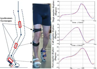 Figure 2.2: A measurement of angular displacements of the lower extremity [11]. 