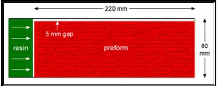 Figure 2.6: Schematic diagram of geometry used for the resin transfer