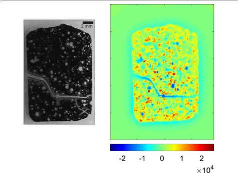 Fig. 6 At left is a reflected light photo of the Hawaiian basalt thin section. At right is the SIRM B of page) obtained with a scanning SQUID in nT at a 100 z field map (the positive z-direction is out µ m resolution with a sensor-to-sample distance of 200