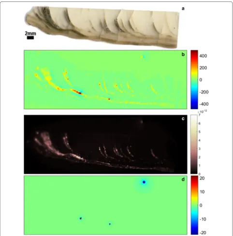 Fig. 10 Inversion results for the SVC982 speleothem: of page) obtained by scanning SQUID in nT with the color range scaled to show all the flood layers (the maximum intensity is 3256.4 nT), magnetic moments found using the TNT-NN unidirectional inversion (