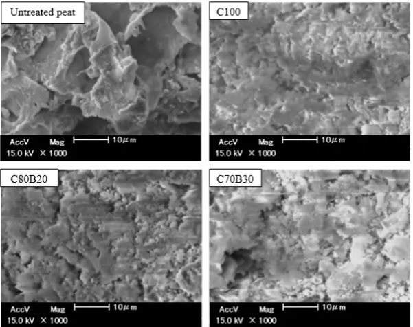 Figure 3 depicts the results of Scanning Electron Microscope (SEM) on untreated and some stabilized peat with the untreated peat