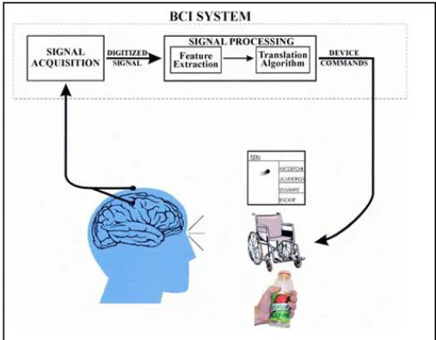 Figure 2.7 : Basic design and operation of any BCI system  (Walpow JR et al, 2002) 