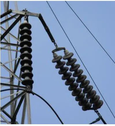 Figure 1.1 Polymeric outdoor insulators 