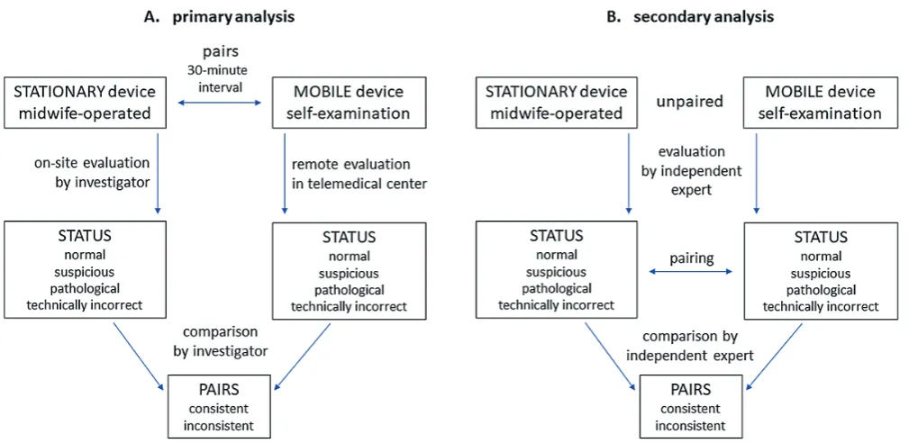 Fig. 1. Primary (A) and secondary (B) analysis schemes
