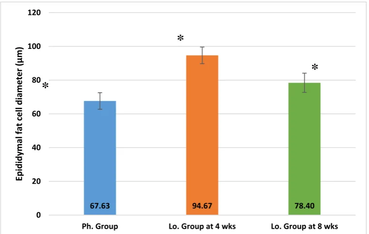 Figure 5:  Epididymal fat pad weights (mg) in animals receiving phentermine for 4 weeks (Ph