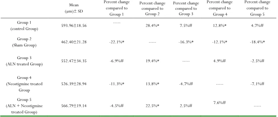 Table 2: Effect of oral treatment with Alendronate 'ALN' (3 mg/kg/day), Neostigmine (12.5 mg/kg/day) & their combinations on cortical bone thickness 