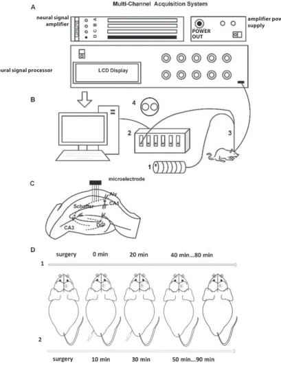 Fig. 1. Experimental setup of electrophysiological signal and SO2 recording