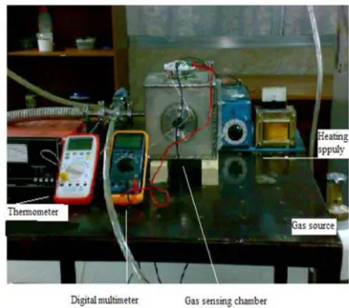 Figure 4: The gas sensing measurement setup 