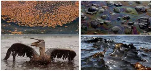 Fig 1. shows the hazardous environmental effect of oil slick in ocean.  