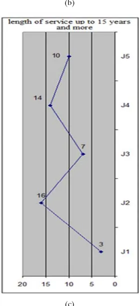 Figure 3 (a, b, c). Integrated group profiles of pharmacy specialist’ motivation sources according to their length of service