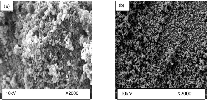 Figure 1. FTIR spectra of PANI and PANI/CrO3 composite (Cr40) 