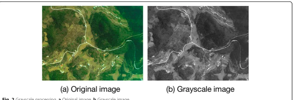 Fig. 2 Grayscale processing. a Original image. b Grayscale image