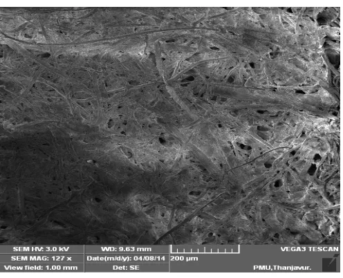Fig. 4 SEM image of recycled paper (Cornflour with additives)  
