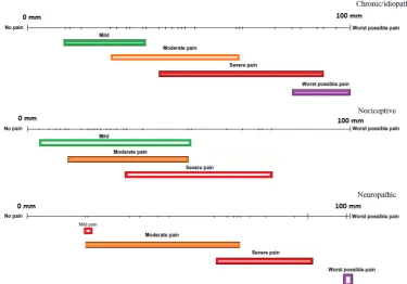 Figure 1: Overlap of pain records between VAS and VRS 